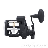 Penn Rival Level Wind Conventional Reel 30, 3.9:1 Gear Ratio, 2 Bearings, 27" Retrieve Rate, Right Hand, Boxed   564908448